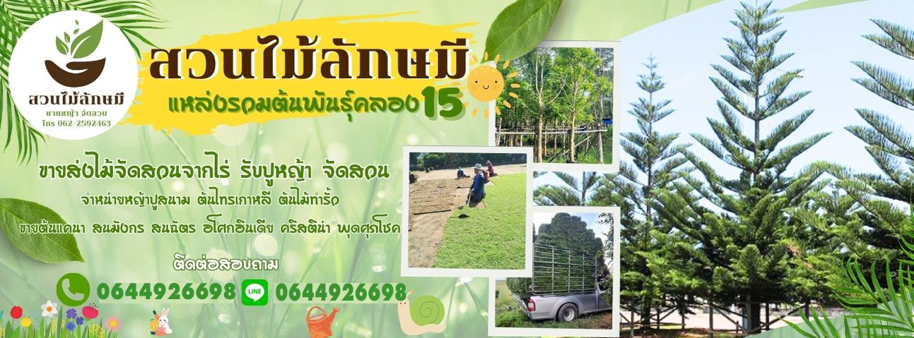 47 ร้านขายหญ้าจัดสวน