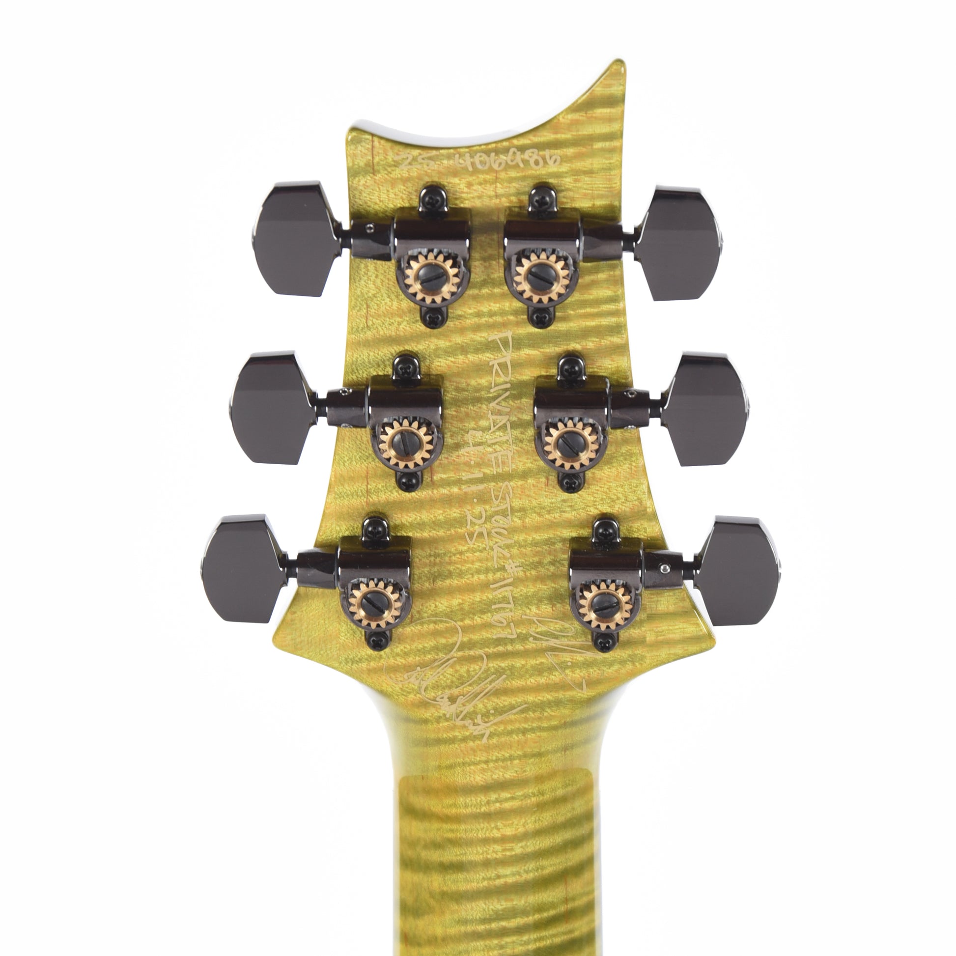 PRS Private Stock Paul's Guitar Curly Maple/African Mahogany Rainforest Glow w/Stained Neck/Fingerboard & Birds of a Feather Inlay