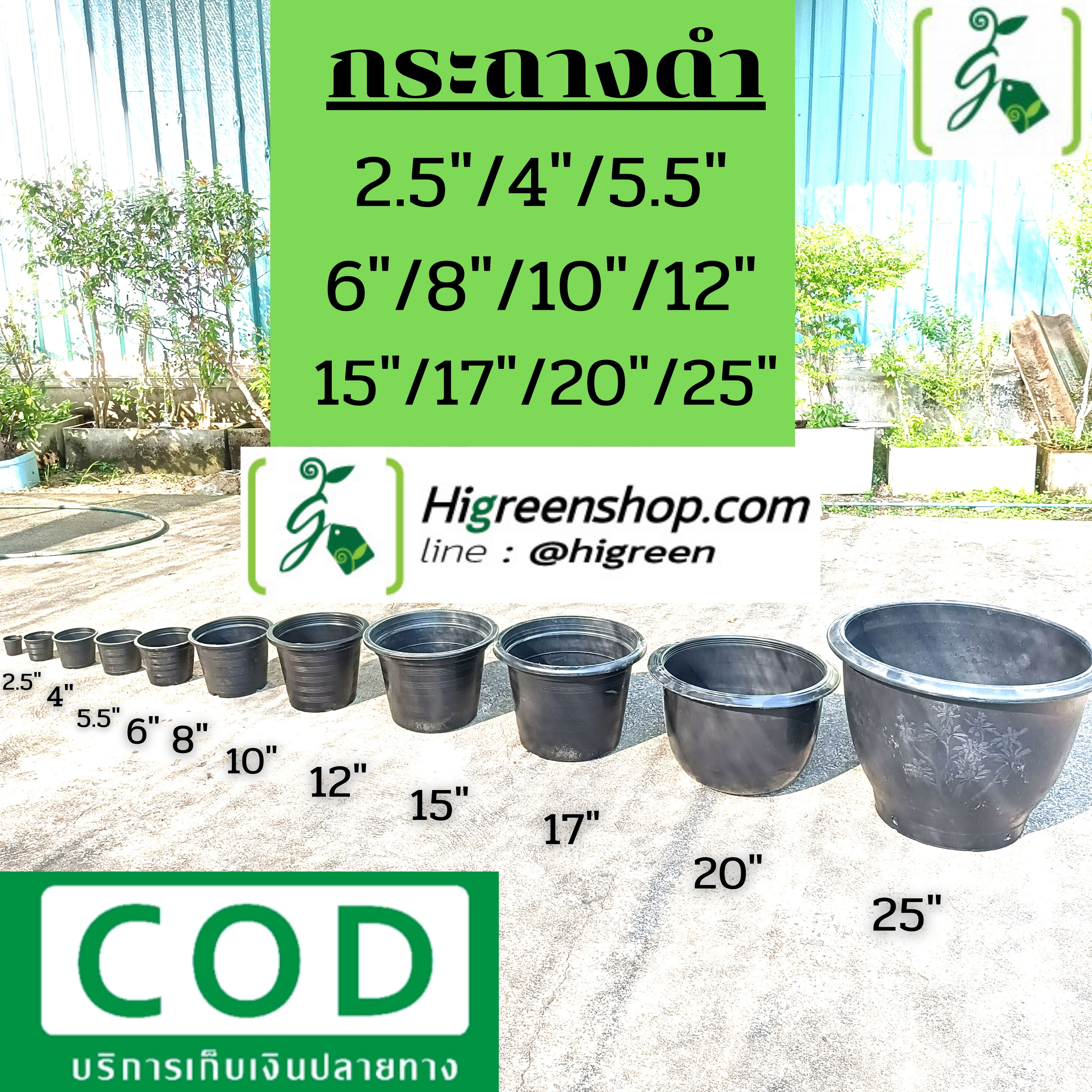 Aกระถางดำ ขนาด 6 นิ้ว 1000 ใบ / กระสอบ