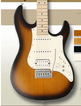 FGN Guitars EXPERT series EOS-AL/M - 2 Tone Sunburst