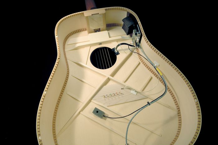 LR Baggs Internal Preamp/Mixer with Element, Mic and Remote Control II