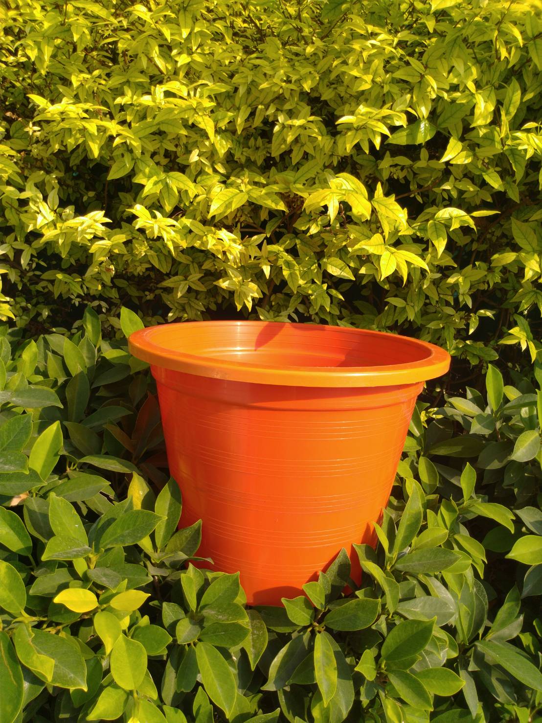 กระถางกลม 6 นิ้ว 1 ใบ (เลือกสีได้)