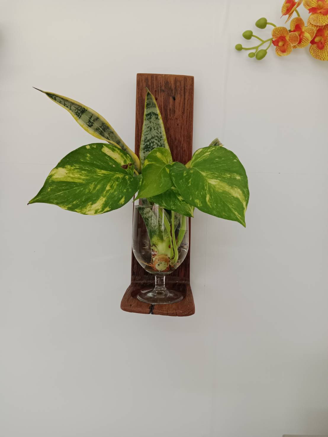 ชุดยึดติดผนัง