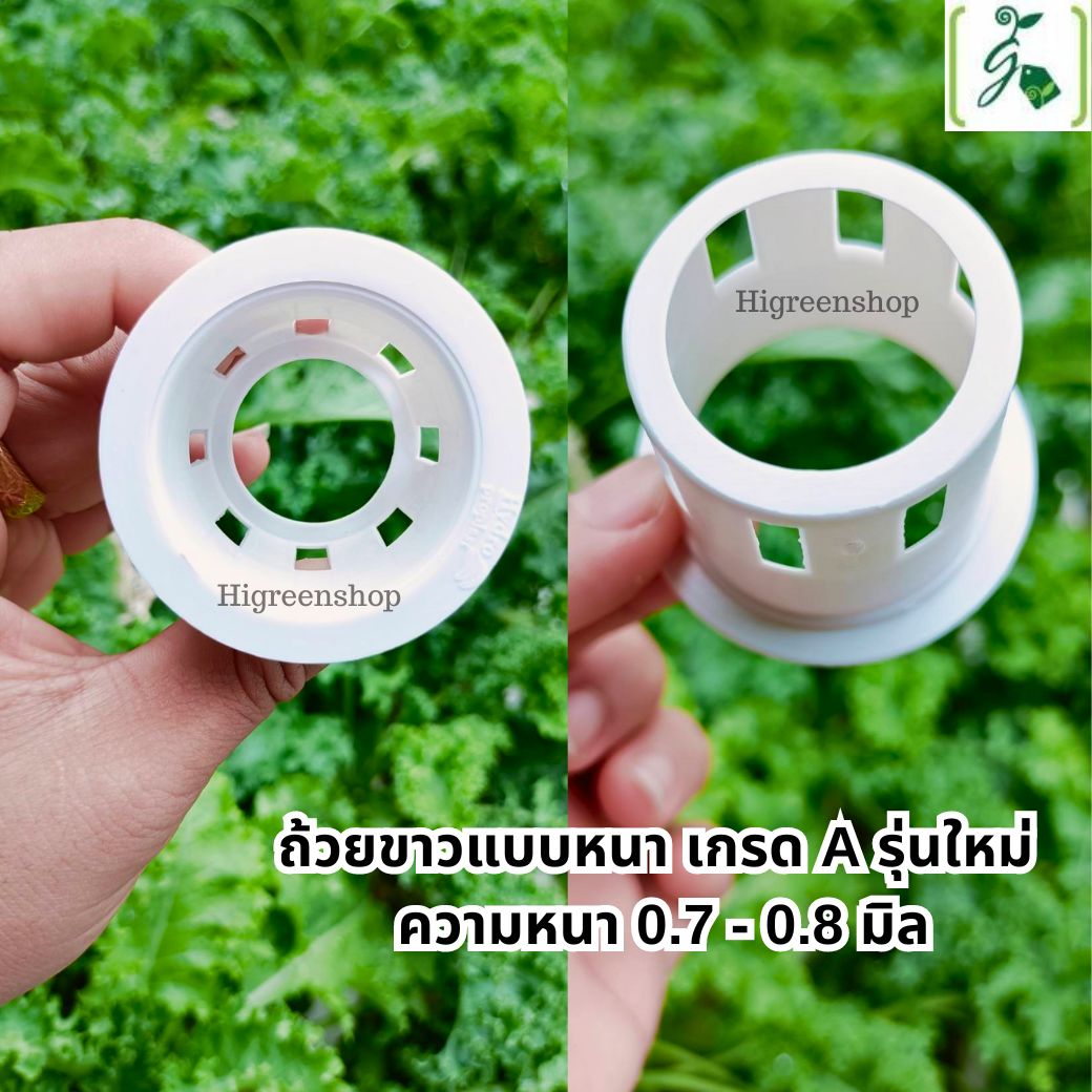 ถ้วยปลูกสีขาว 100 ใบ (ใช้ซ้ำ) เกรด A รุ่นใหม่