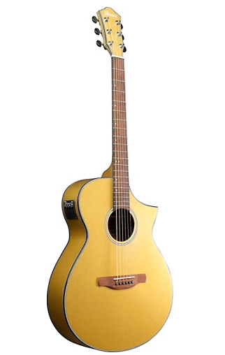 Ibanez AEWC10 Acoustic-Electric Guitar
