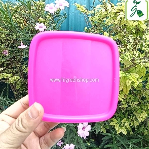 กล่องพลาสติกจิ๋ว (เหลี่ยม 4 ชิ้น + กลม 4 ชิ้น / ชุด)