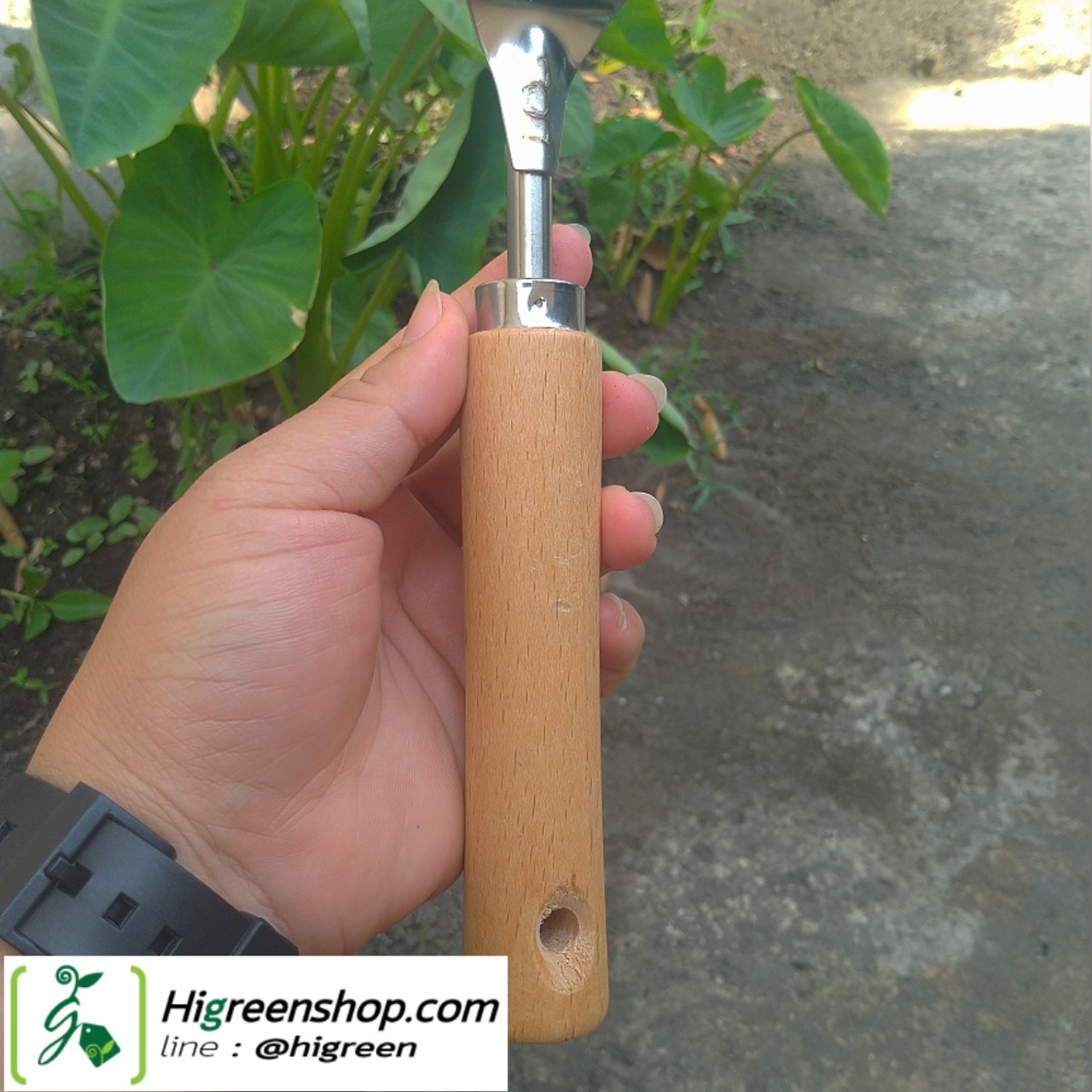 เสียมถอนหญ้าสแตนเลส สำหรับกำจัดวัชพืช จำนวน 1 เล่ม