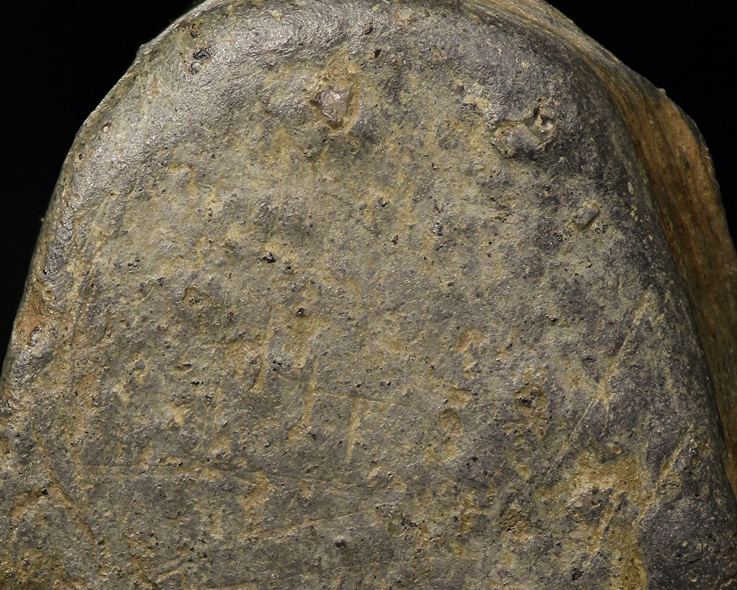 พระซุ้มกอกำแพงเพ็ชร พิมพ์ใหญ่ไม่มีกนก เนื้อเขียวมอย จ.กำแพงเพ็ชร (โชว์พระ)