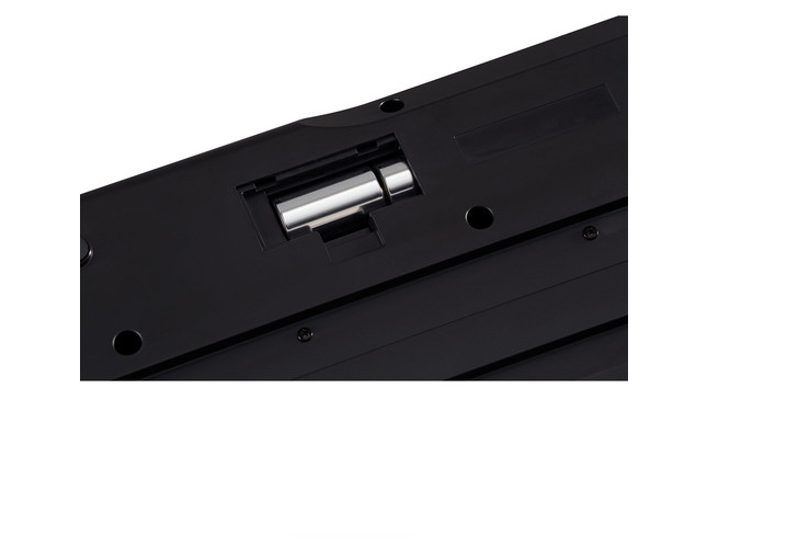 Roland GO PIANO88 88-Note Digital Piano with Onboard Bluetooth Speakers