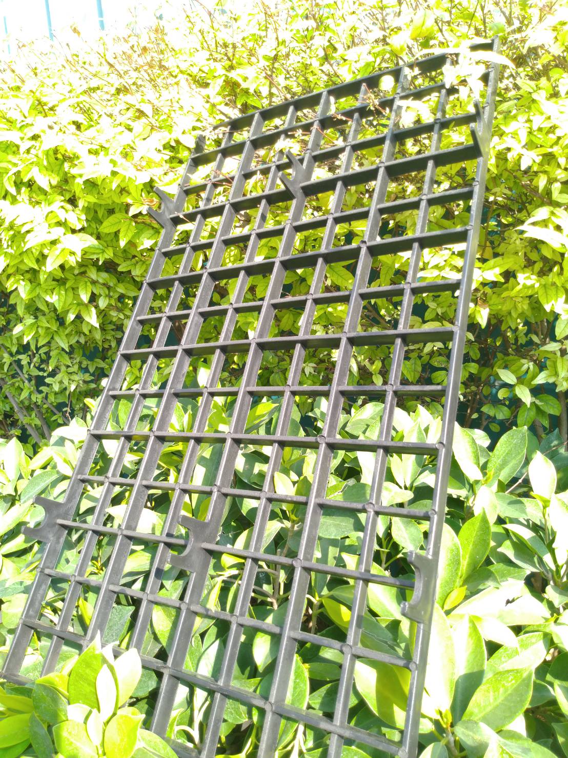 ตะแกรงย้ายลูกกล้าขนาด 1 นิ้ว