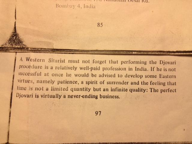 Manzer Dehlicaster - Acoustic Guitar