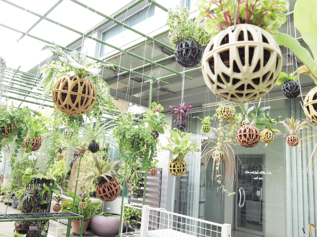 Kokedama (สีดำ)