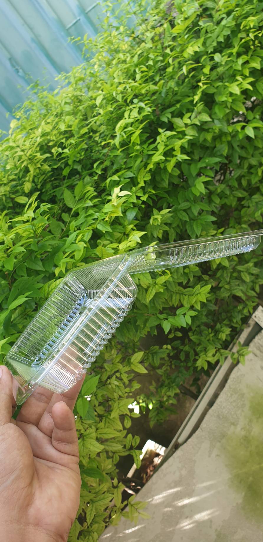 กล่องใส่สลัดโรลสี่เหลี่ยมผืนผ้า ขนาดกว้าง ยาว 19*13*5 ซม. แพ็ค 10 ใบ