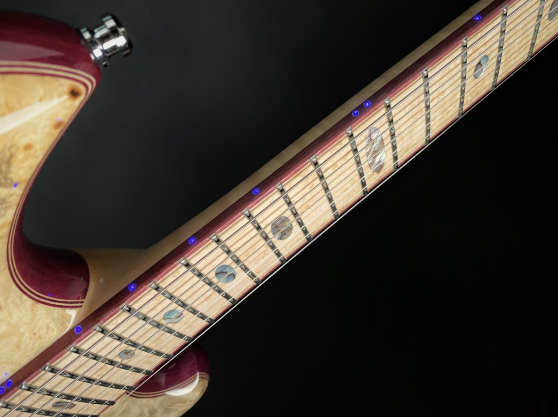 Alembic Further - Buckeye Burl