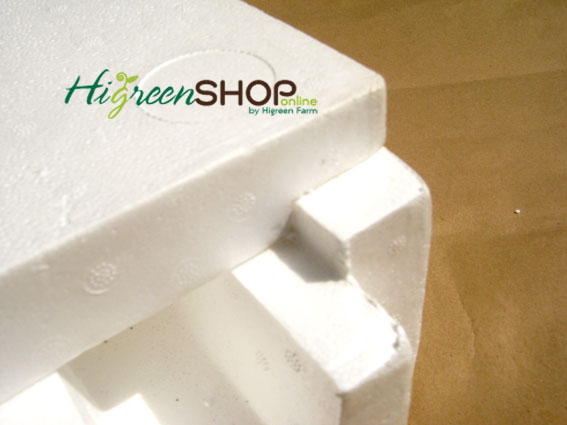 โฟมแผ่นปลูกผักไทย 50 รู