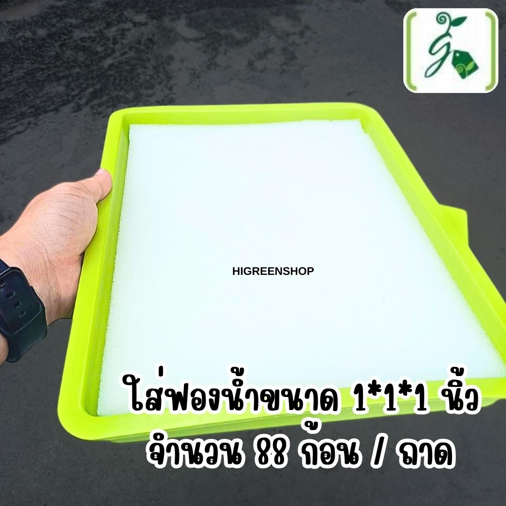 ถาดเสริฟ์ 4 เหลี่ยม ถาดเพาะเมล็ด ถาดพลาสติก จำนวน 1 ใบ