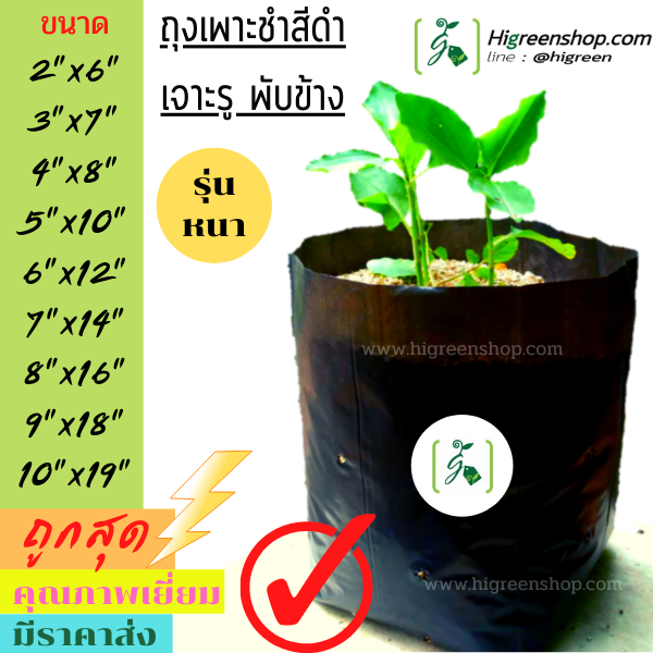 ถุงเพาะชำสีดำ ขนาด 5x10 นิ้ว 1 กก.