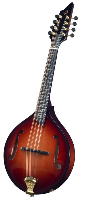 Breedlove Premier Series Olympic Mandolin
