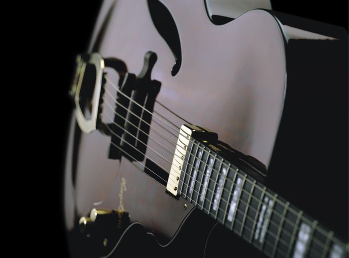 Hagstrom Jazz Model Hl-550 Hollowbody Electric Guitar Gloss Natural Mahogany