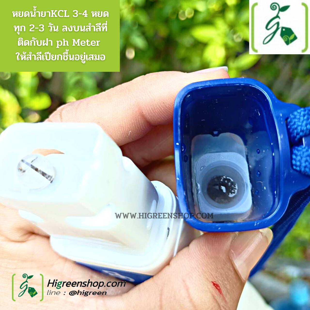 PH Meter ยี่ห้อ BlueLab