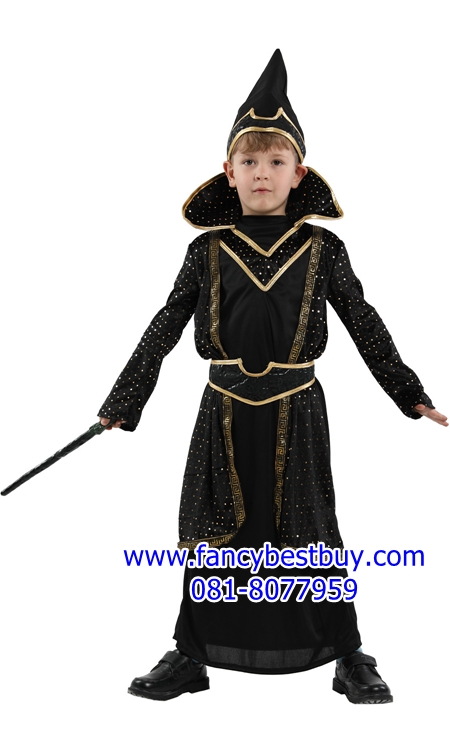 ชุดแฟนซีฮาโลวีน ชุดพ่อมด ชุดแฟนซีพ่อมด มีขนาด M, L, XL
