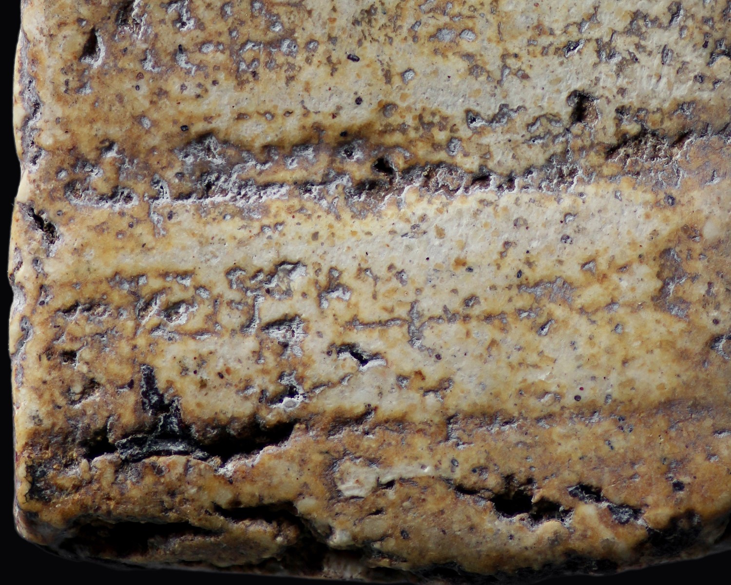 พระสมเด็จวัดระฆังโฆสิตาราม พิมพ์ฐานแซม