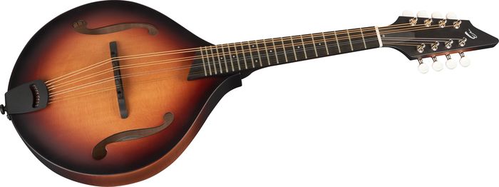 Breedlove American Series OF Mandolin