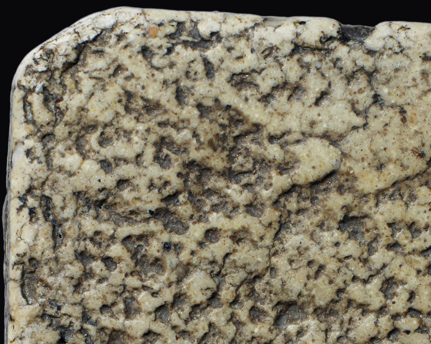 พระสมเด็จวัดระฆังโฆสิตาราม พิมพ์ฐานแซม ลงรัก