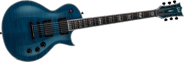 ESP LTD Deluxe EC-1000 Electric Guitar