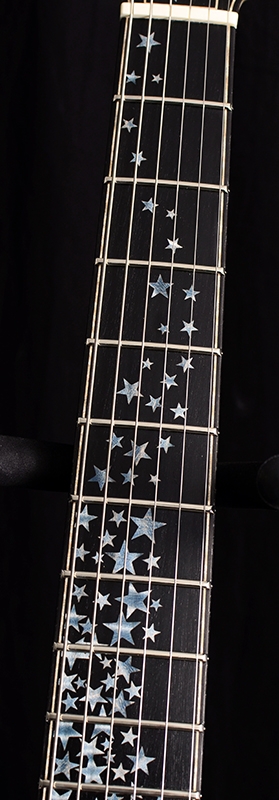 PRS Private Stock McCarty 594 Nightfall Brians Exclusive