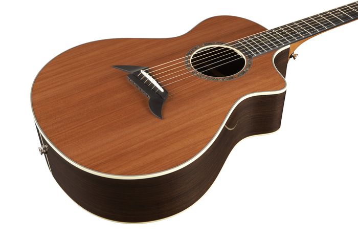 Breedlove Focus SE Special Edition Acoustic-Electric Guitar Natural