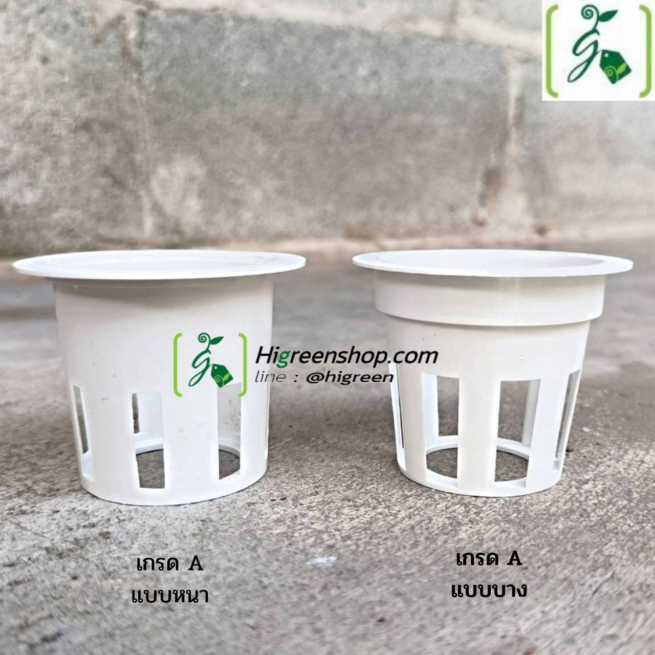 ถ้วยปลูกสีขาว 100 ใบ (ใช้ซ้ำ) เกรด A แบบบาง