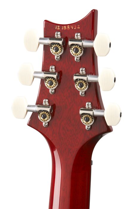 PRS DGT Standard with Birds Electric Guitar