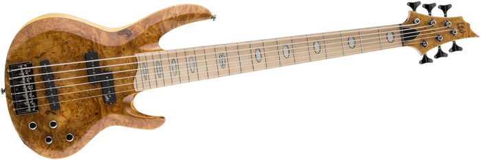 ESP LTD RB-1006 6 String Electric Bass Guitar