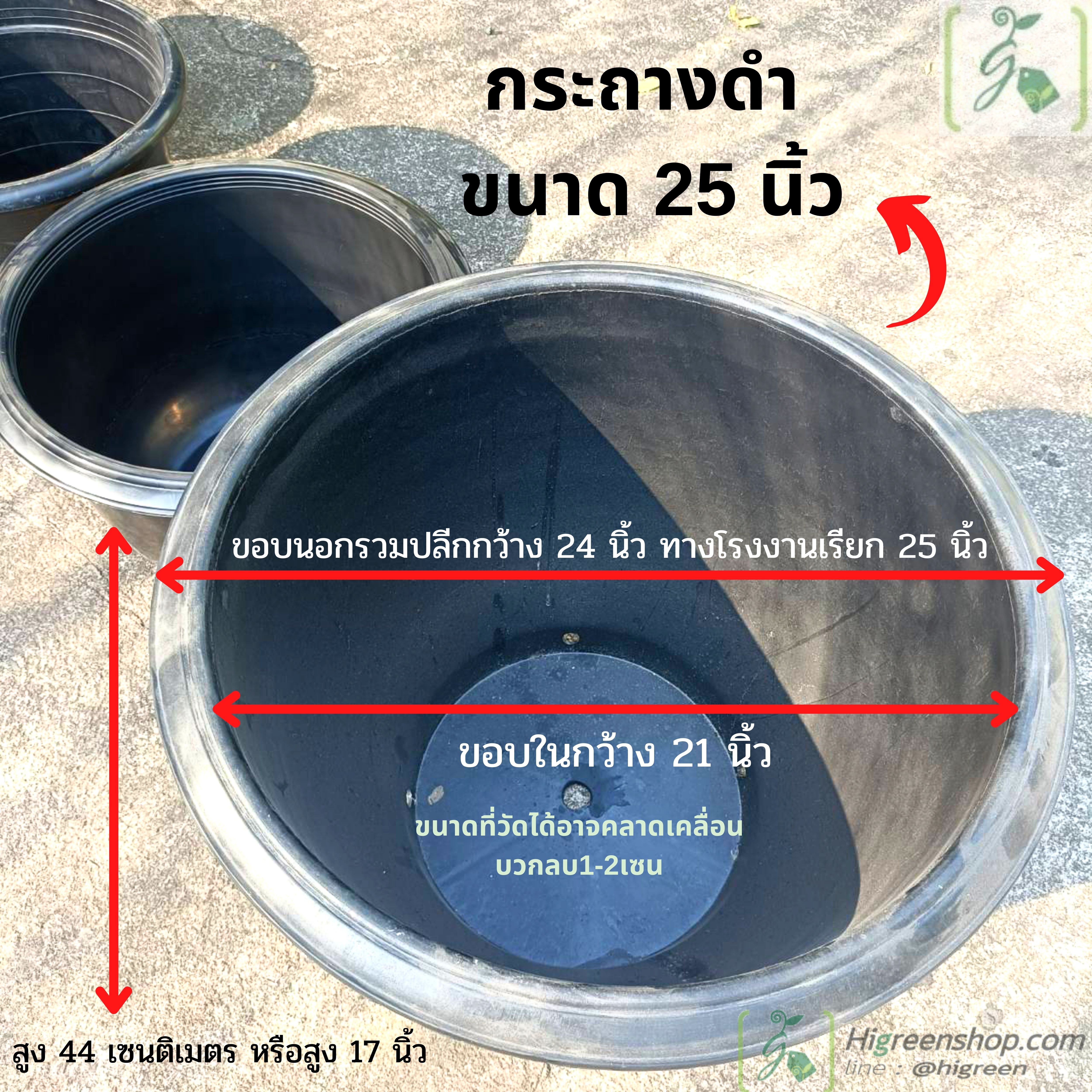กระถางดำ ขนาด 25 นิ้ว