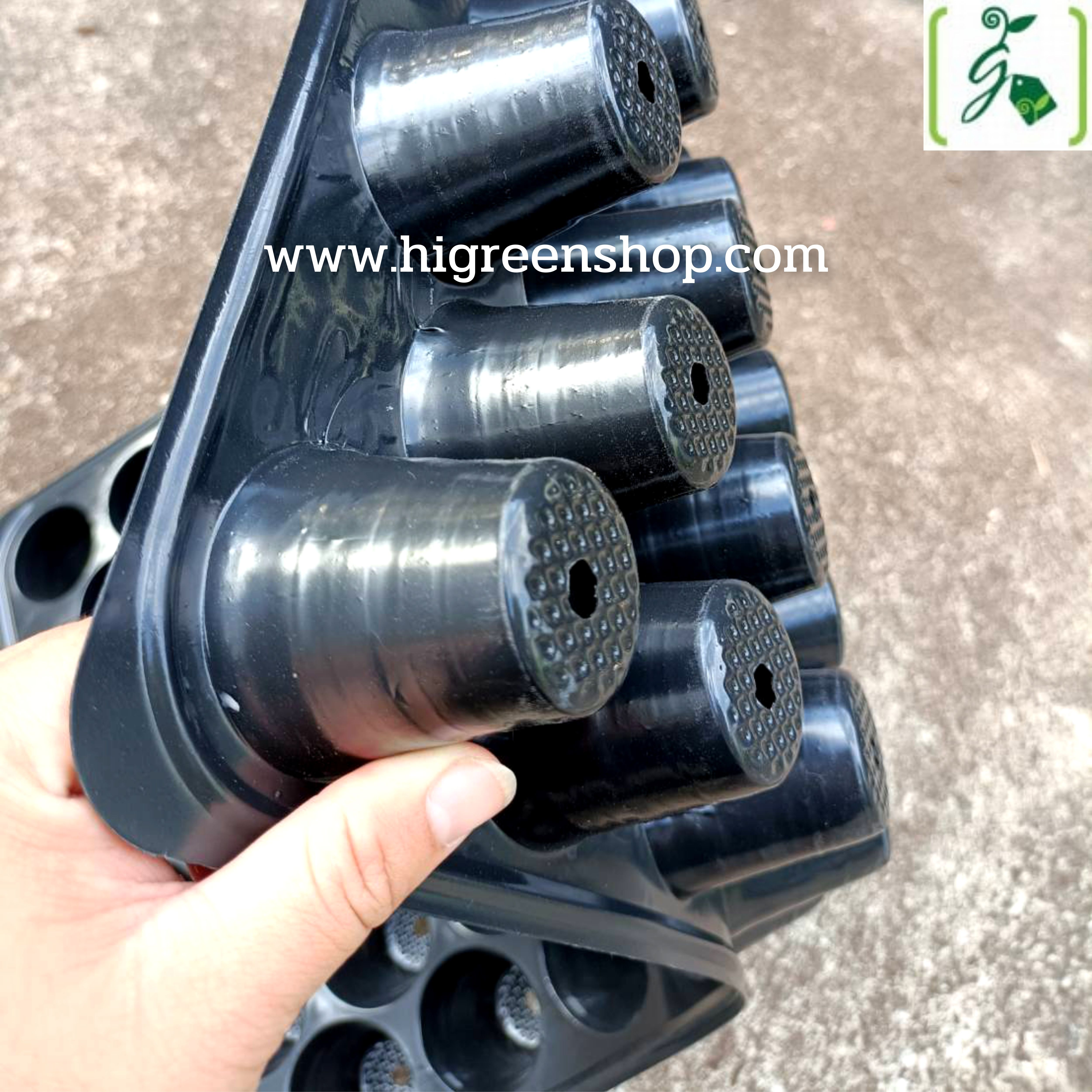 ถาดหลุมเพาะกล้าสีดำ 60 หลุม(100แผ่น/กล่อง)