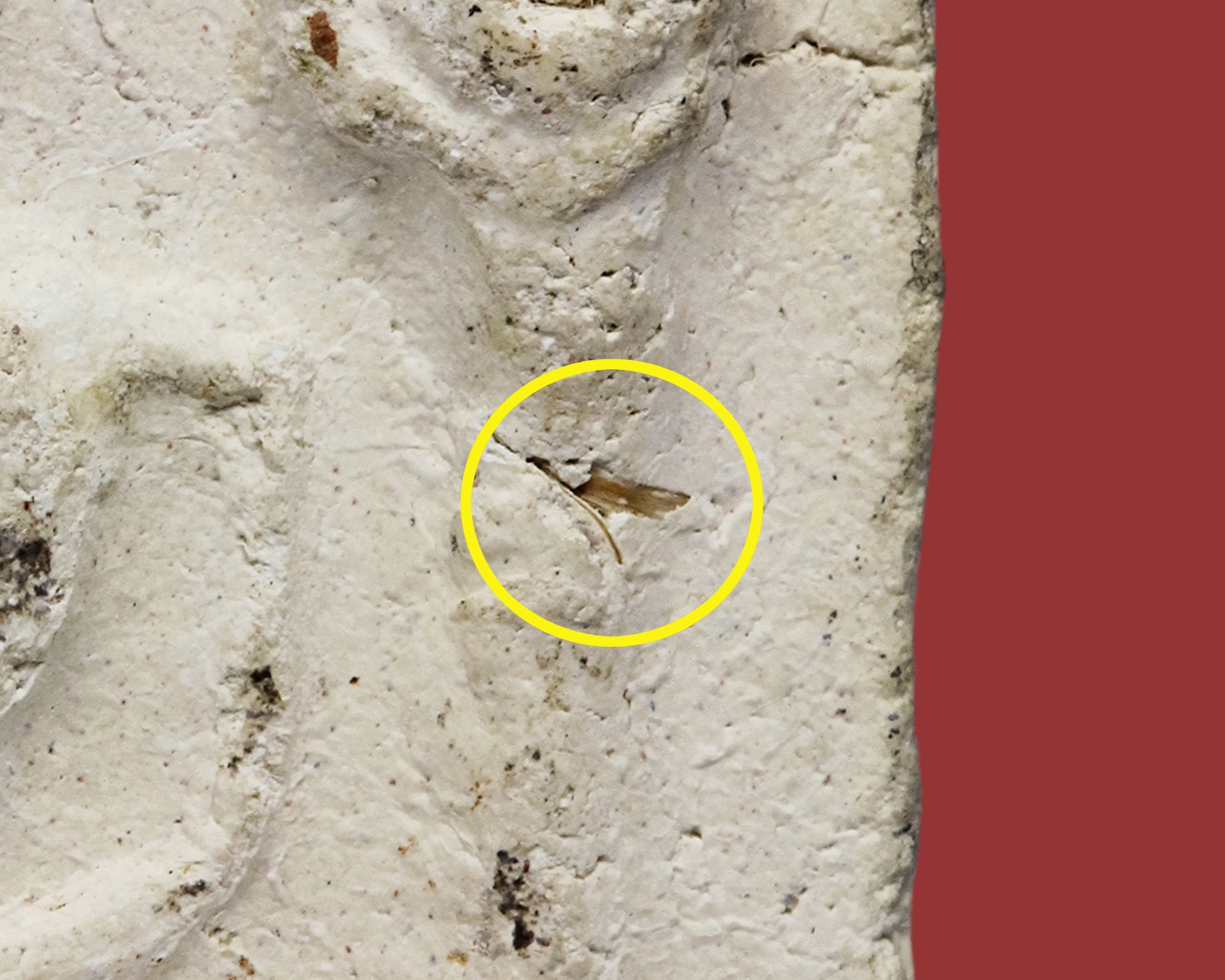 พระพิมพ์ยืนประธานพร และพระพิมพ์ขุนแผน ปี 2497 หลวงปู่เหรียญวัดหนองบัว จ.กาญจนบุรี (โชว์พระ)