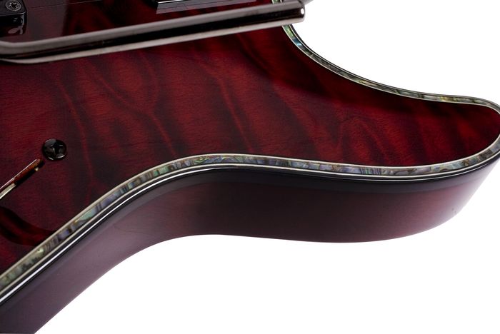 Schecter Guitar Research Hellraiser C-1 FR Electric Guitar