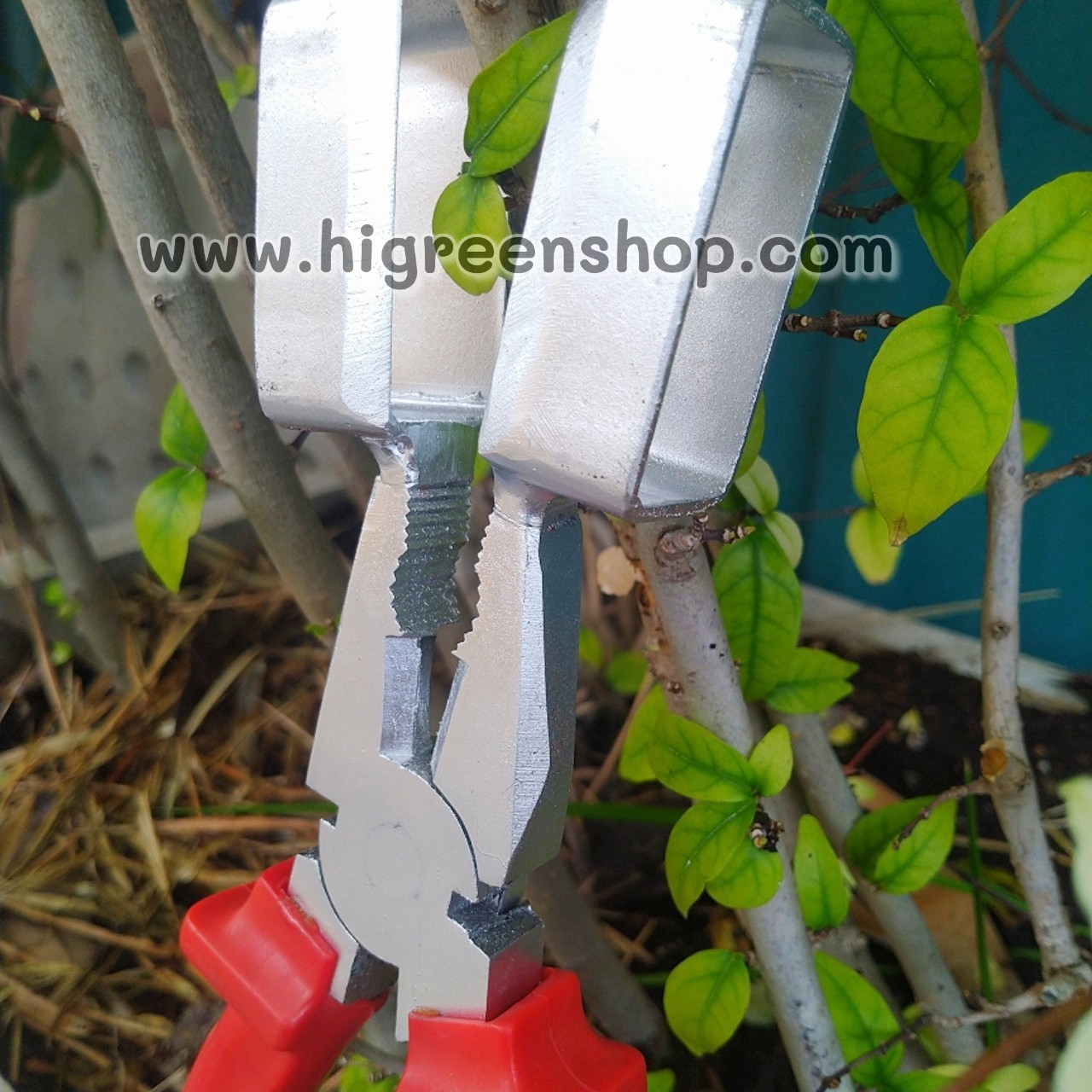 คีมตอนกิ่ง (คละสี)