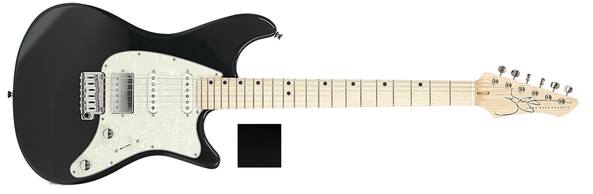 John Page Classic The Ashburn HSS, Metallic Black Rosewood , Black Pickguard