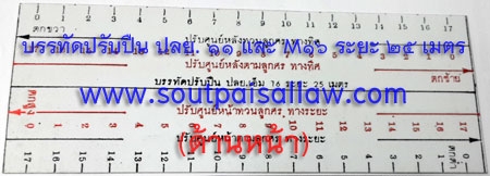 บรรทัดปรับปืน ปลย.11 และ ปลย. เอ็ม 16 ระยะ 25 เมตร (Pre Order)