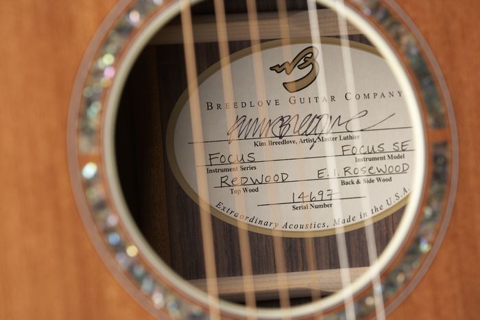 Breedlove Focus SE Special Edition Acoustic-Electric Guitar Natural