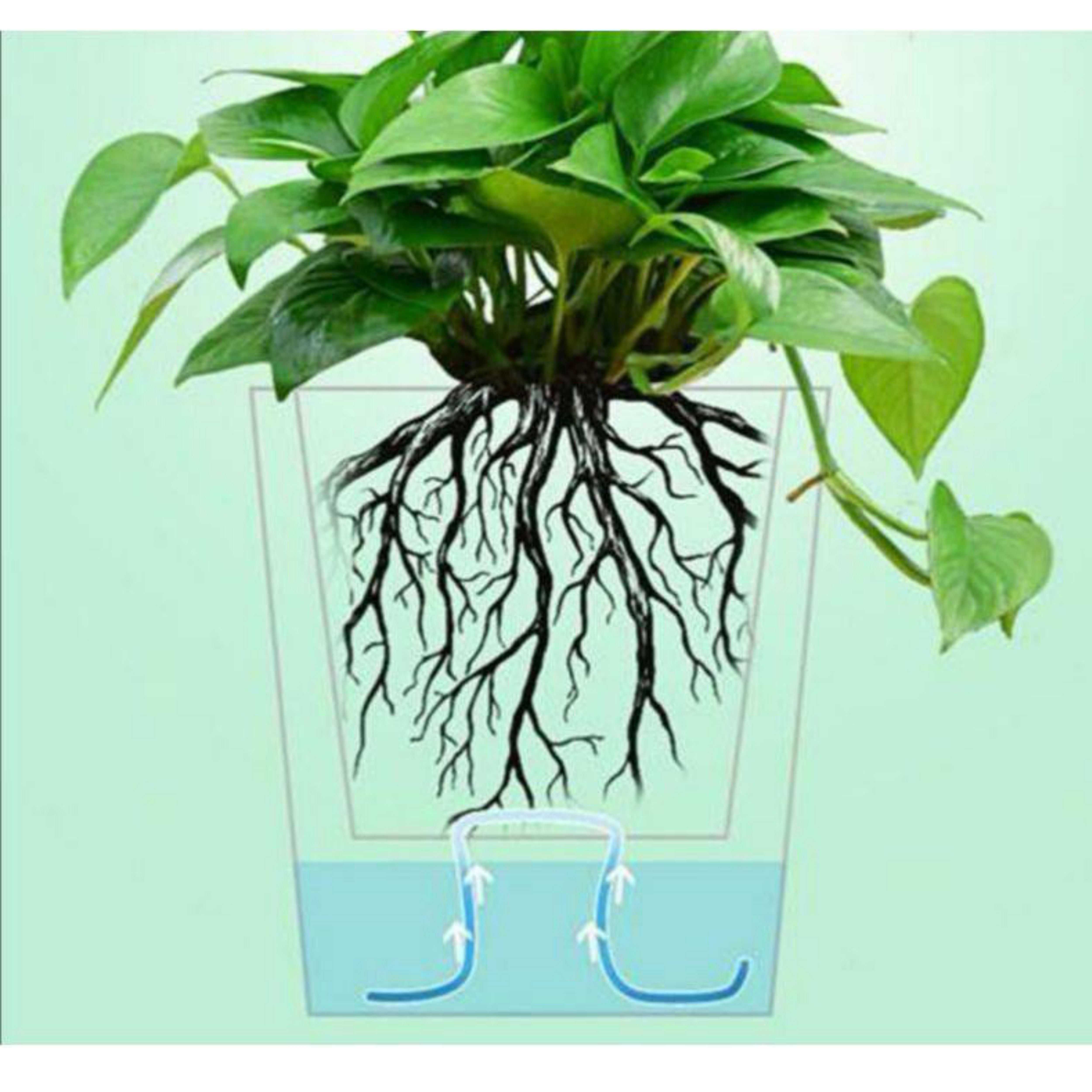 เชือกดูดน้ำอัตโนมัติ สำหรับคนรักต้นไม้ (Self watering wick cord for tree lovers) ยาว 4.5 เมตร / ห่อ