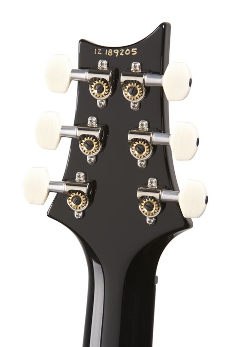 PRS DGT Standard with Birds Electric Guitar