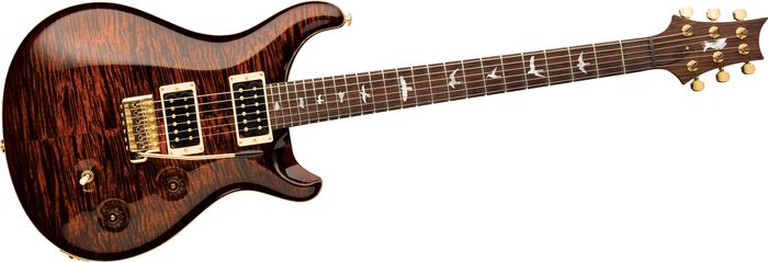 Paul Reed Smith Experience 2010 Custom 24 Wide-Thin Neck with Birds Electric Guitar