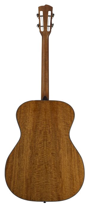 Breedlove Master Class Sage Acoustic-Electric Guitar with LR Baggs Anthem-SL Pickup
