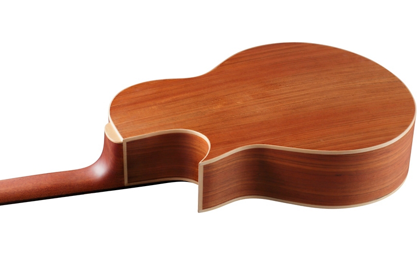 Warwick Alien 6-String Acoustic-Electric Bass - Natural Hi Polish