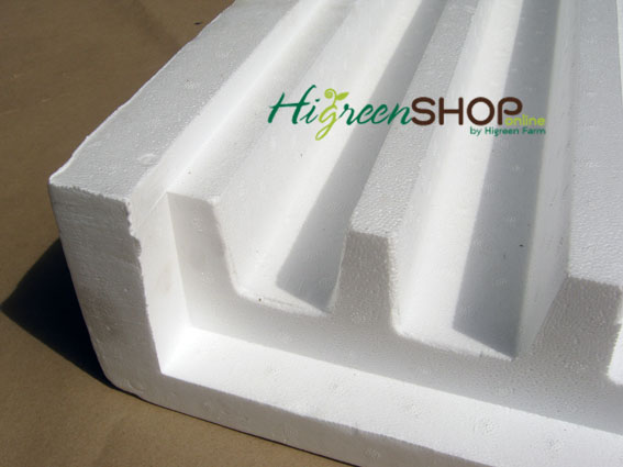 โฟมรางกลาง