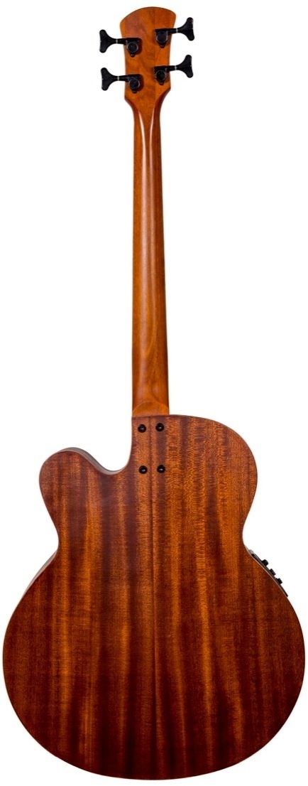 Spector Timbre Junior Short-Scale Acoustic Bass - Natural