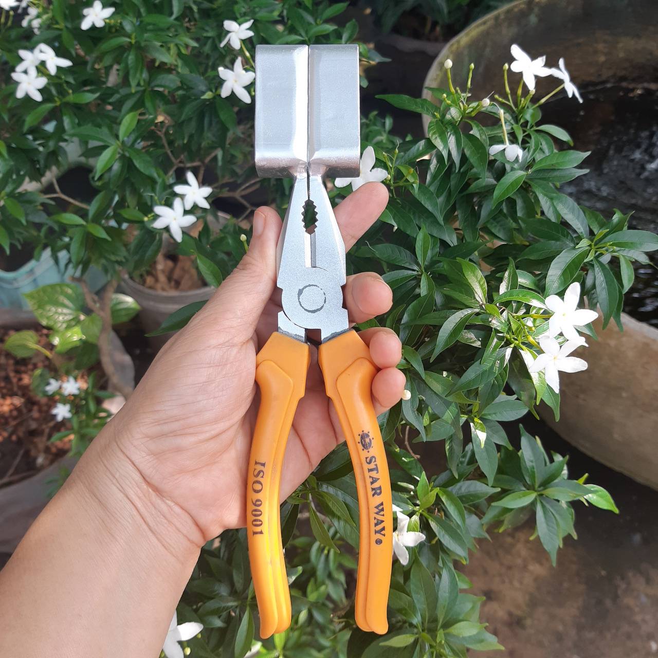 คีมตอนกิ่ง (คละสี)